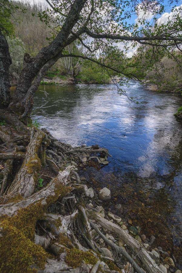 Casa Rural Aguas Frias I La Omañuela Zewnętrze zdjęcie